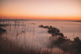 柳永《安公子·梦觉清宵半》全文及鉴赏