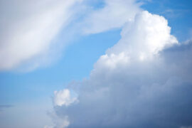 清谈可以饱，梦想接无由