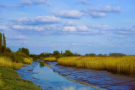 若不趁起风时扬帆，船是不会前进的