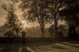 什么是路？就是从没路的地方践踏出来的，从只有荆棘的地方开辟出来的