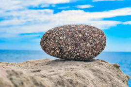 陆游《朝中措·代谭德称作》全文及鉴赏