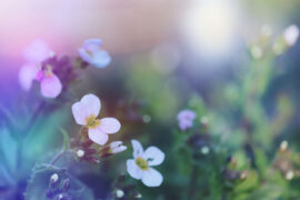 温庭筠《更漏子·玉炉香》全文及鉴赏