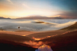 郑燮《念奴娇·胭脂井》全文及鉴赏