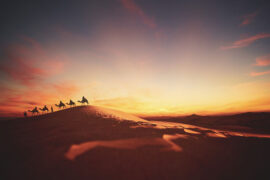 宋祁《鹧鸪天·画毂雕鞍狭路逢》全文及鉴赏