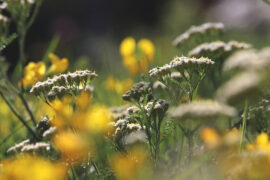 幻想容易，决断也容易