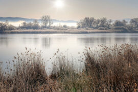 年轻人仍然所见极有限，又迷失在太多讯息中