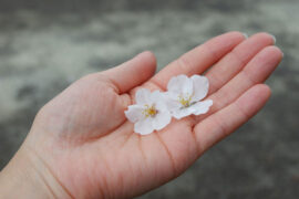 杜奕岑、陈斯瑞《错位指针》歌词评论及赏析