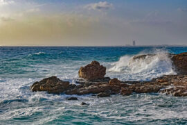 爱戴的同义词有哪些？