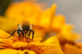 成熟是一种明亮而不刺眼的光辉