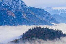 纳兰性德《东风齐着力·电急流光》全文及鉴赏