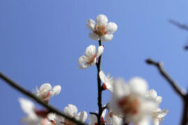 完美无缺是褒义词吗？