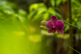 心慈面善是褒义词吗？