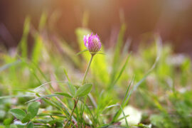 在衰落遗失的边缘坚守，在快捷功利的繁荣里坚持