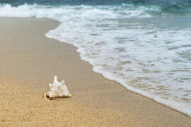 当心地慢慢走着，我只倾听着自己的足音