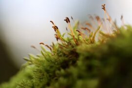 我走过的漫长的道路并不总是铺着玫瑰花的，有时也荆棘丛生