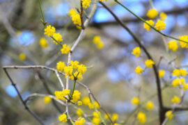 一个人越有成就，就要越有谦卑的胸襟