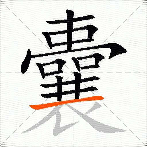 囊怎么组词？包含“囊”字的组词及成语大全-图2