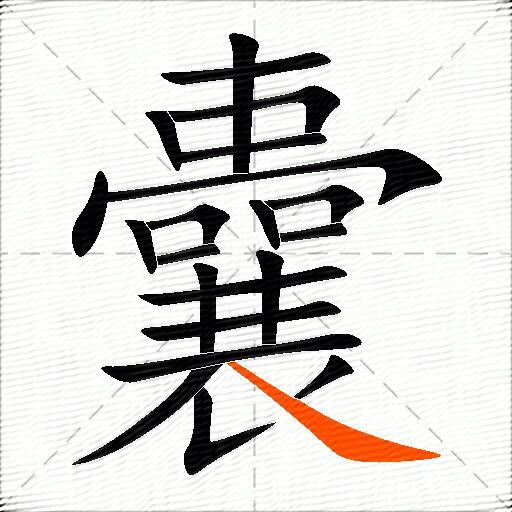 囊怎么组词？包含“囊”字的组词及成语大全-图3