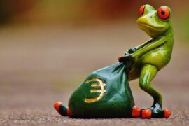 囊怎么组词？包含“囊”字的组词及成语大全