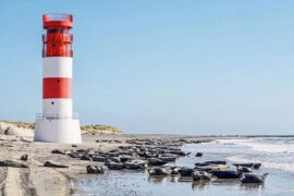 Capper《航线》歌词及评论赏析