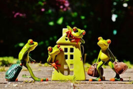 冒犯的近义词有哪些？