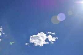 当你把所有的错误都关在门外，真理也就被拒绝了