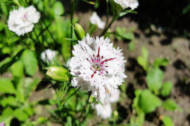 凡益之道，与时偕行