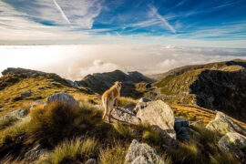 流光一瞬，华表千年