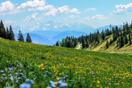 成功不是将来才有的，而是从决定去做的那一刻起，持续累积而成