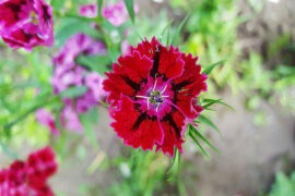 辛弃疾《汉宫春·会稽蓬莱阁怀古》全文及鉴赏