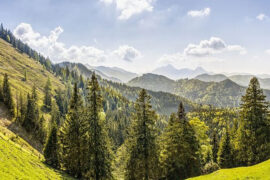 秦观《减字木兰花·天涯旧恨》全文及鉴赏