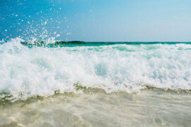 姜夔《琵琶仙·双桨来时》全文及鉴赏