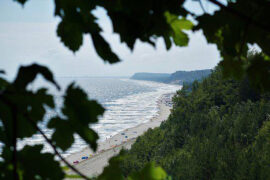 元好问《虞美人·槐阴别院宜清昼》全文及鉴赏