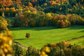 鹿先森乐队《春风十里》歌词及评论赏析