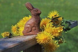 友好的近义词有哪些？