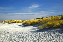 只要生命不被消灭，一颗热烈的灵魂也就有可能在最阴暗的墙角燃出耀目的光芒