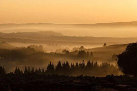 苦难是人生的必由之路