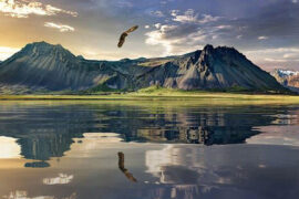 李清照《浣溪沙·莫许杯深琥珀浓》全文及鉴赏