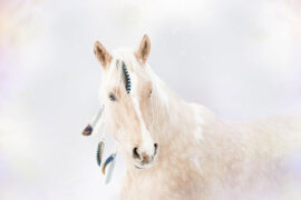 泰然的反义词有哪些？