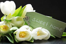 叶蒨文《祝福》歌词及评论赏析