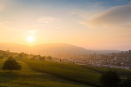 关于浓浓故乡情的句子