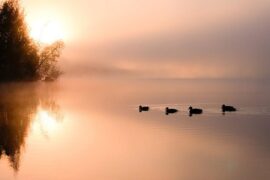 2023年最火的早安句子