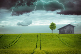 李煜《临江仙·樱桃落尽春归去》全文及鉴赏