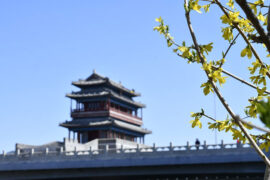 韦庄《木兰花·独上小楼春欲暮》全文及鉴赏