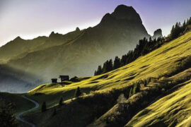 秦观《风流子·东风吹碧草》全文及鉴赏