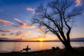 陆游《好事近·湓口放船归》全文及鉴赏