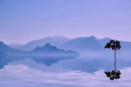 韦庄《女冠子·四月十七》全文及鉴赏