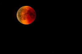 纳兰性德《采桑子·谁翻乐府凄凉曲》全文及鉴赏