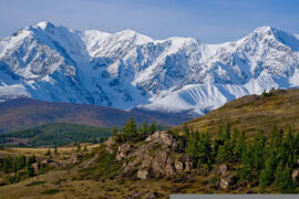晏殊《浣溪沙·一向年光有限身》全文及鉴赏