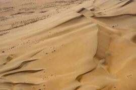 元好问《玉楼春·惊沙猎猎风成阵》全文及鉴赏